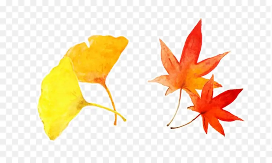 Feuilles D'automne，Automne PNG