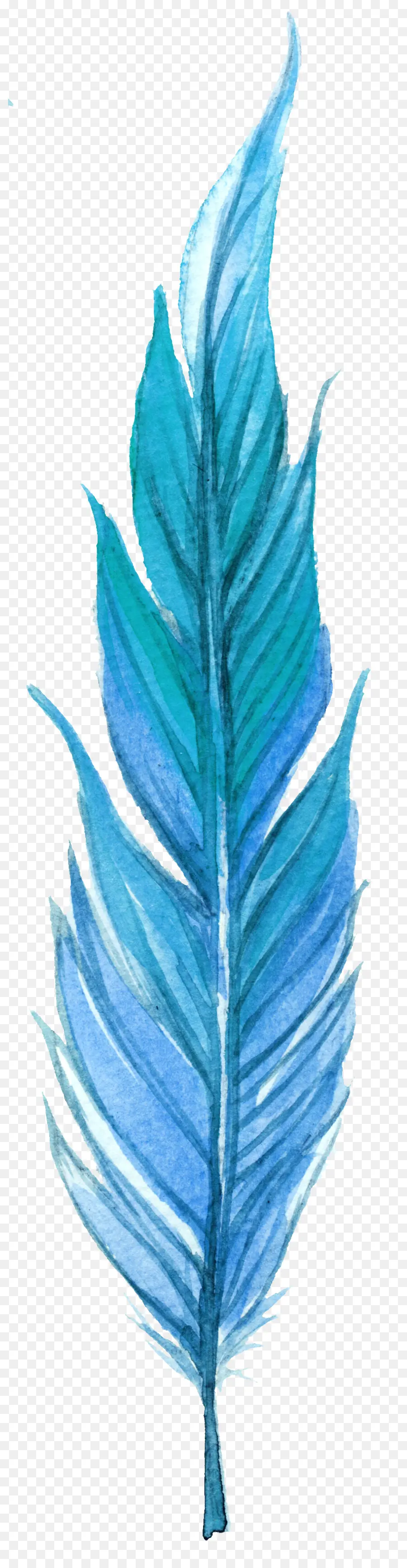 Feuille Bleue，Nature PNG