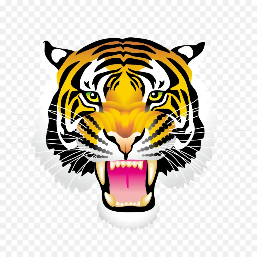 Tigre，Animal PNG