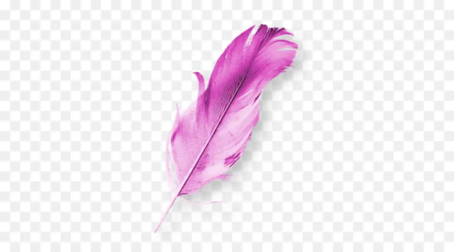 Plume Rose，Doux PNG