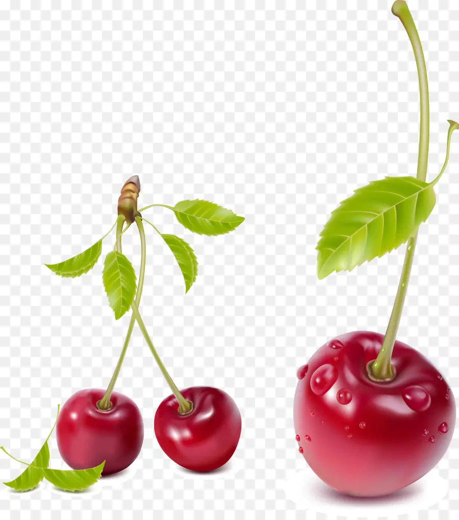 Grappe De Cerises，Cerises PNG