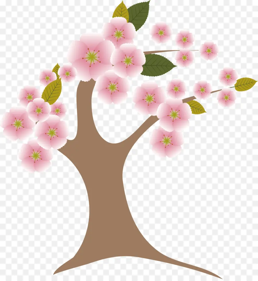 Arbre à Fleurs De Cerisier，Fleurs PNG