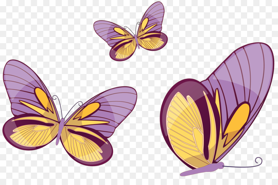 Papillons Violets，Nature PNG