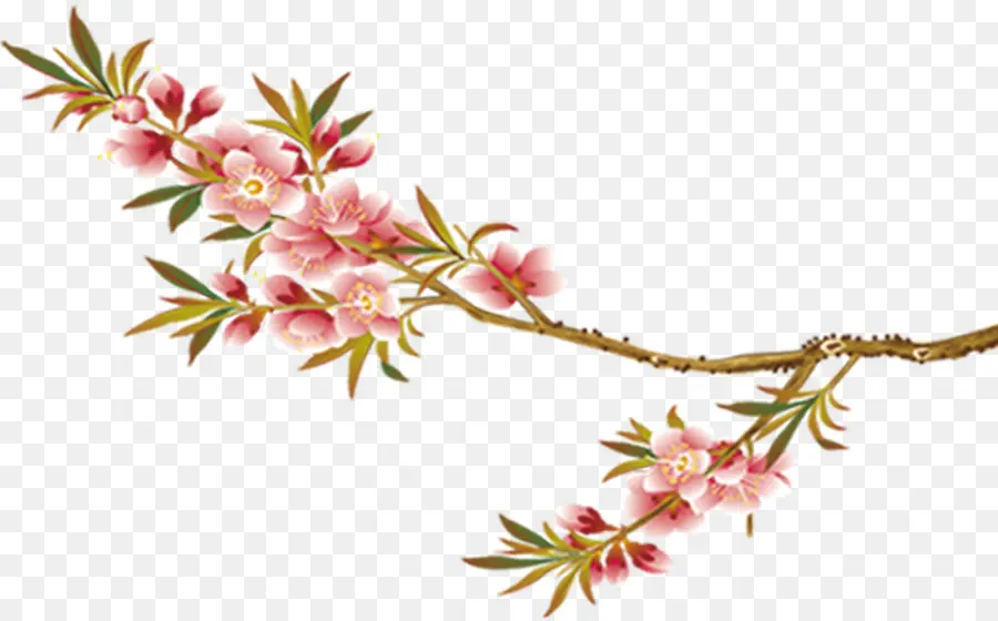 Branche De Fleurs，Fleurir PNG