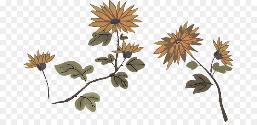 Fleurs，Plantes PNG