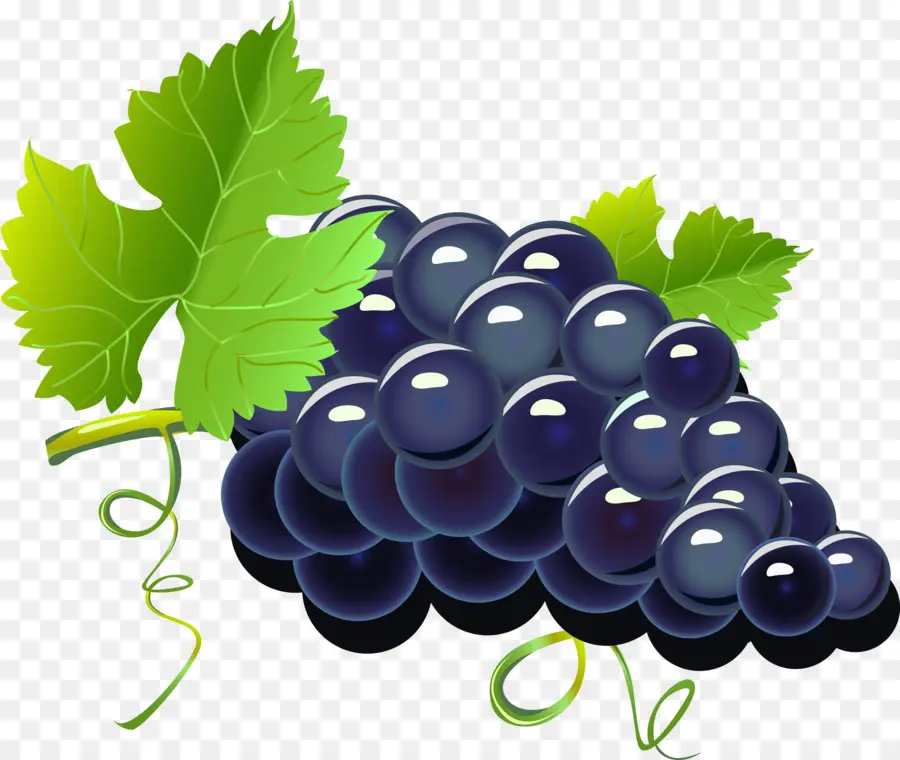 Raisins，Vigne PNG