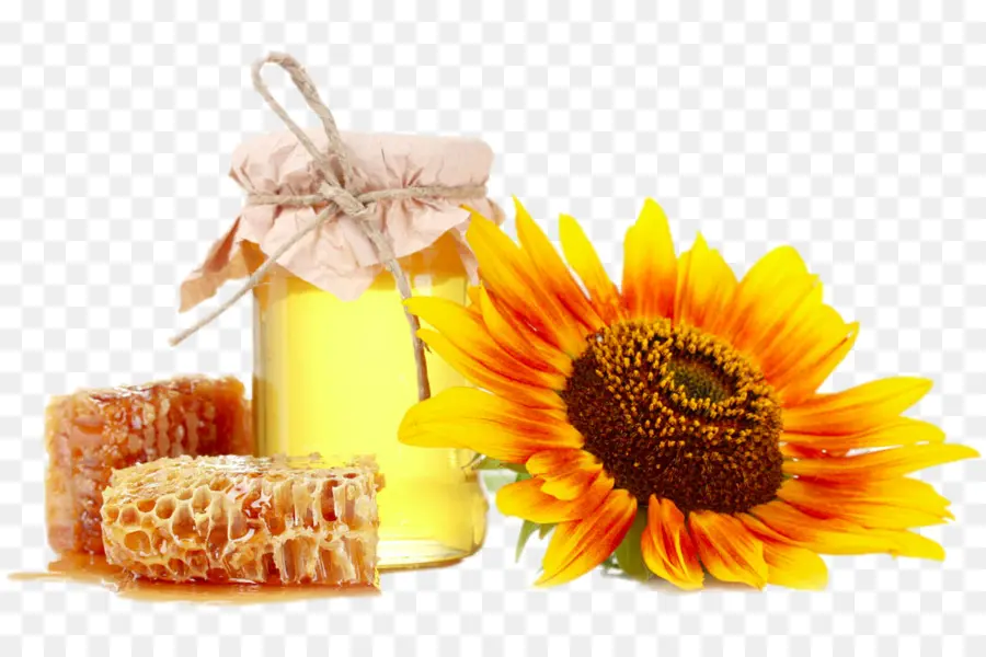 Miel Et Tournesol，Pot PNG