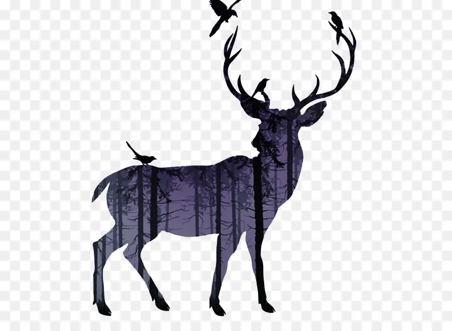 Silhouette De Cerf，Forêt PNG