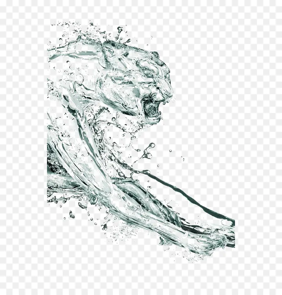 Panthère D'eau，Liquide PNG