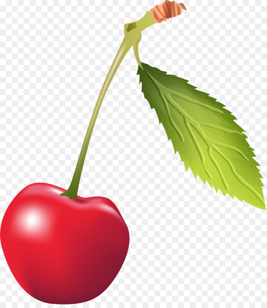 Cerise，Rouge PNG