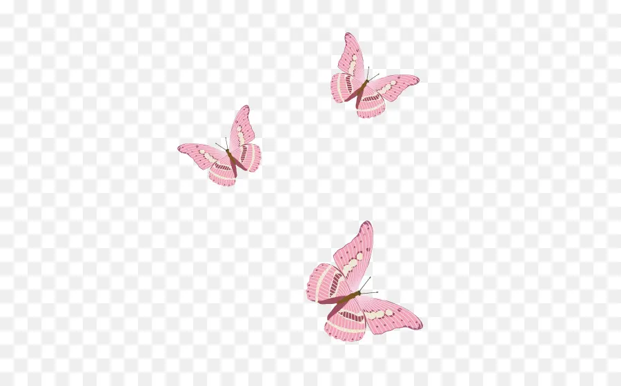 Papillons Roses，Insectes PNG