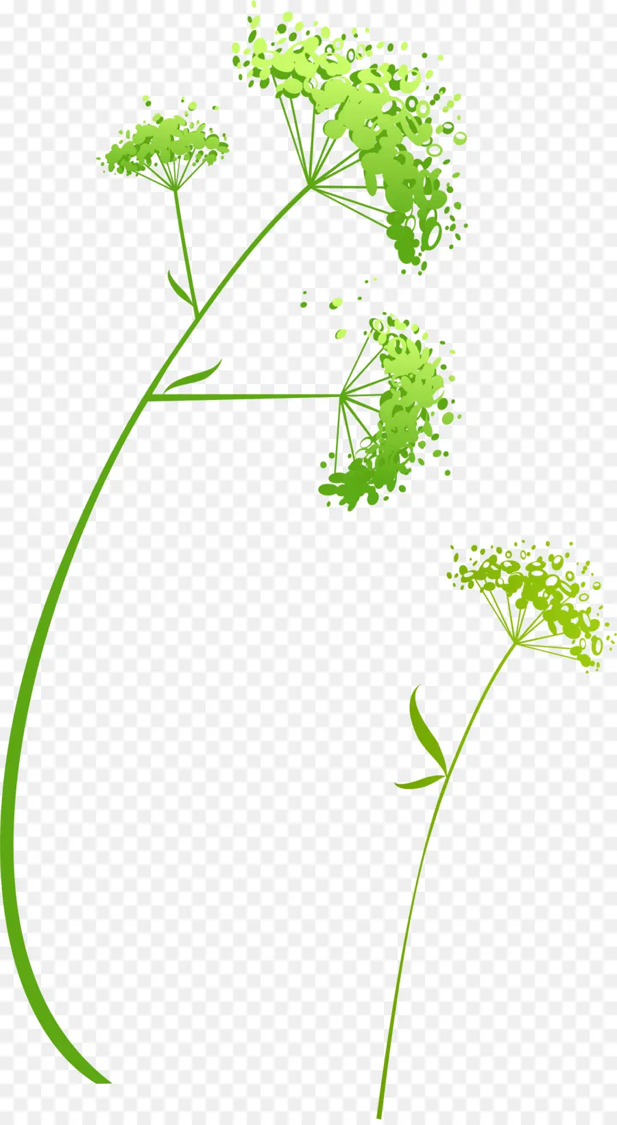 Fleurs Vertes，Plantes PNG