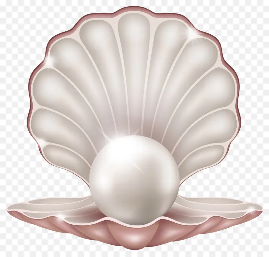 Perle En Coquille，Bijoux PNG