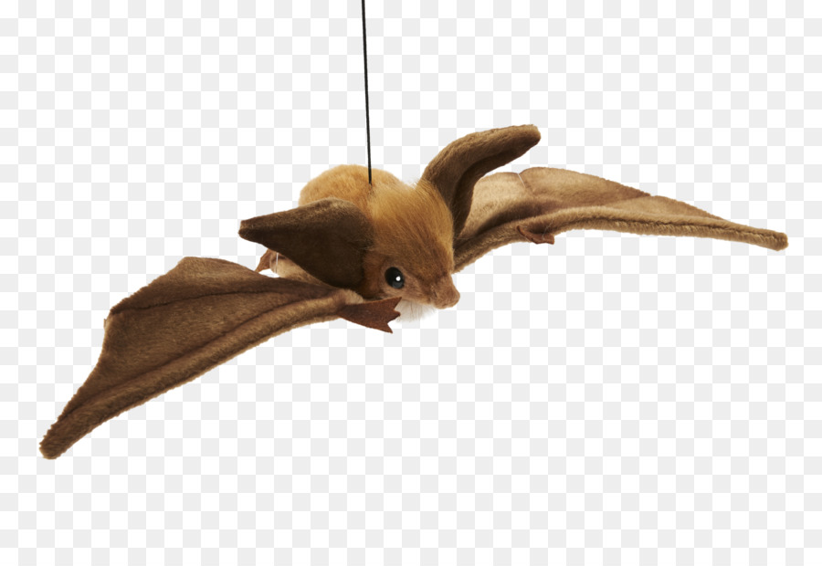 Chauve Souris Jouet，Suspendu PNG