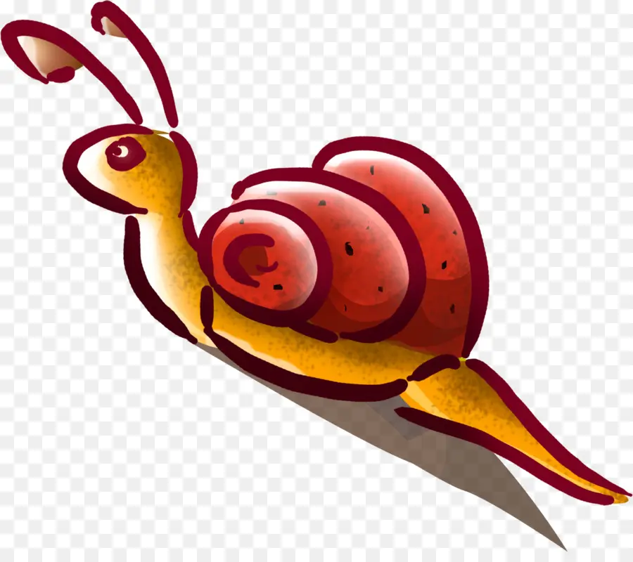 Escargot Coloré，Coquille PNG