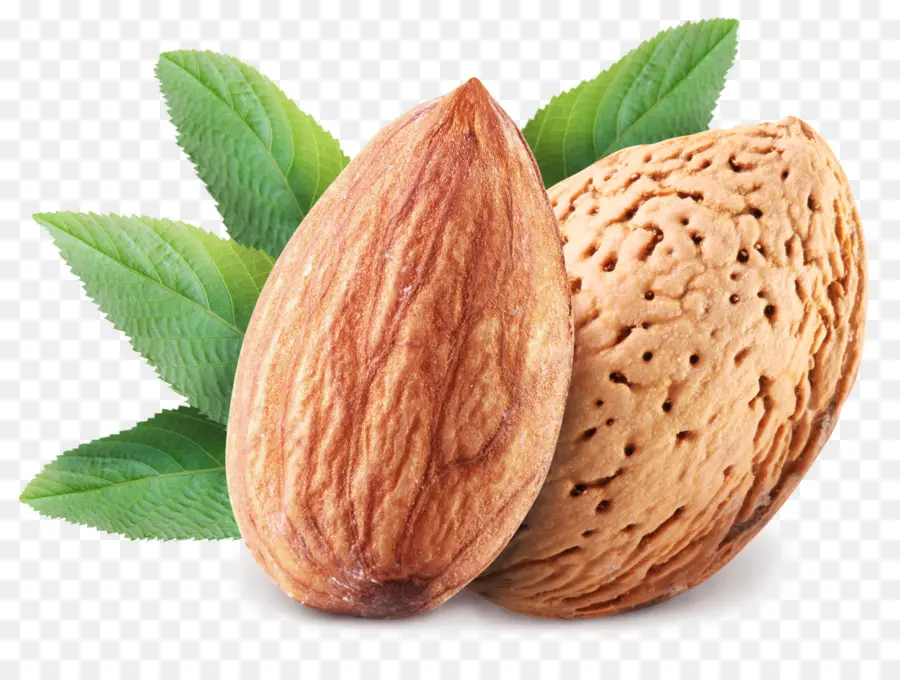 Amandes，En Bonne Santé PNG