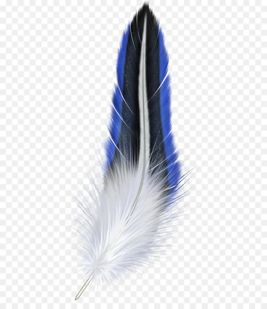 Plume Bleue Et Jaune，Plume PNG