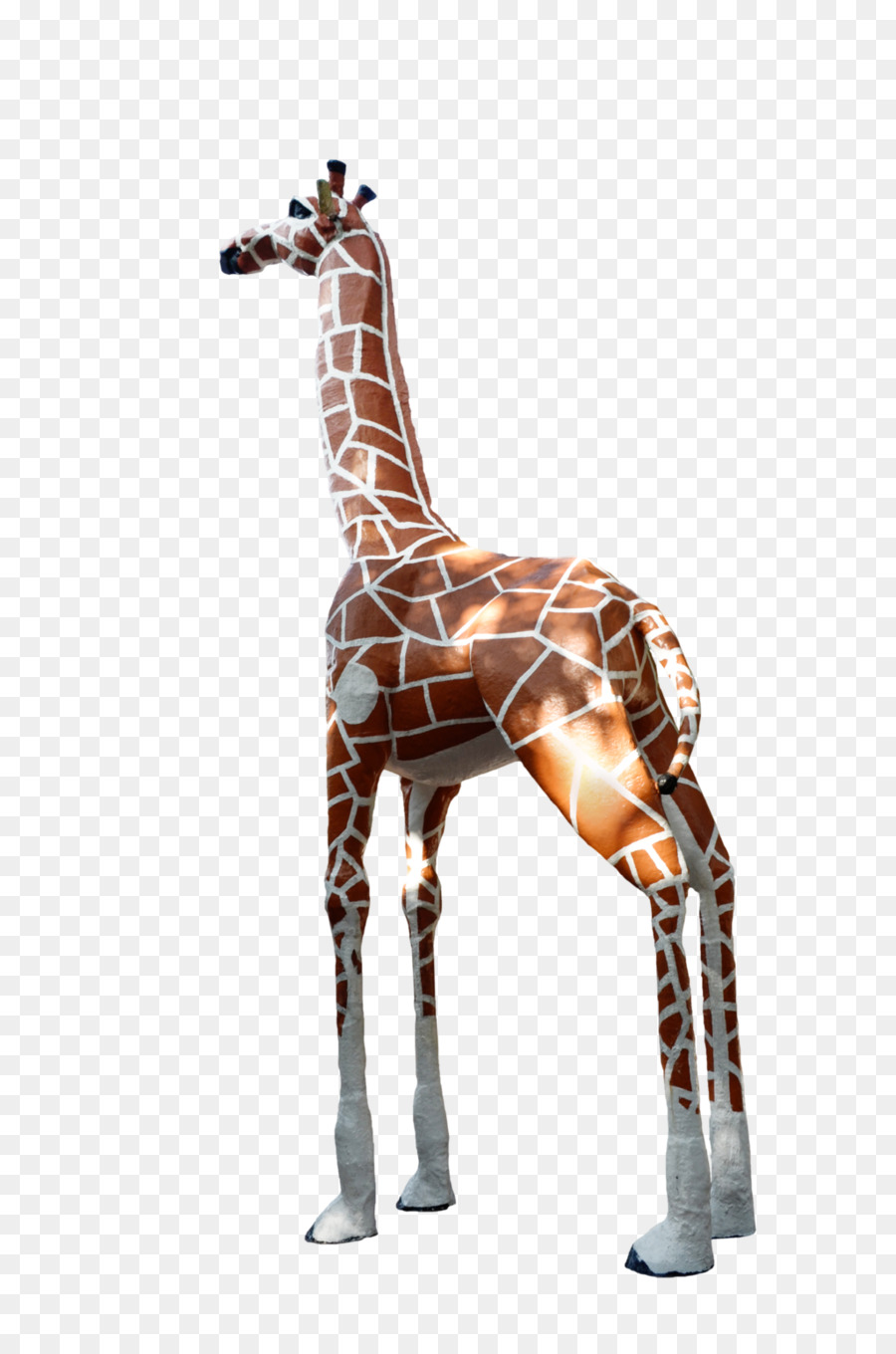 Girafe，Faune PNG