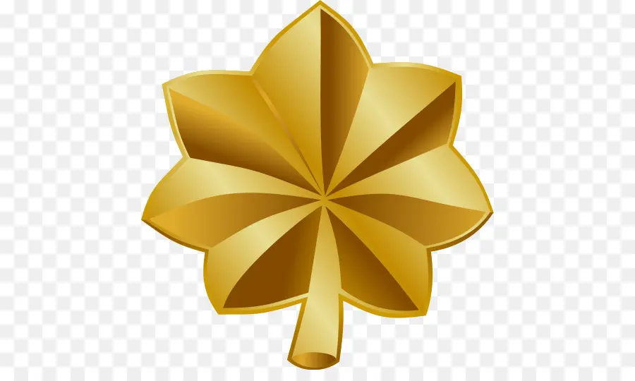 Feuille D'or，Automne PNG