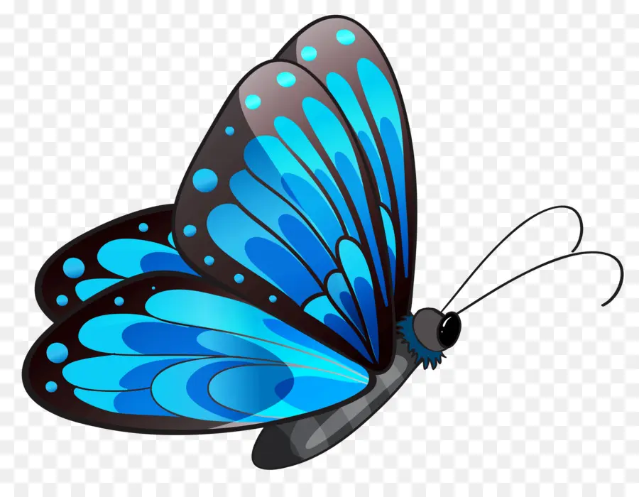 Papillon，Ailes PNG