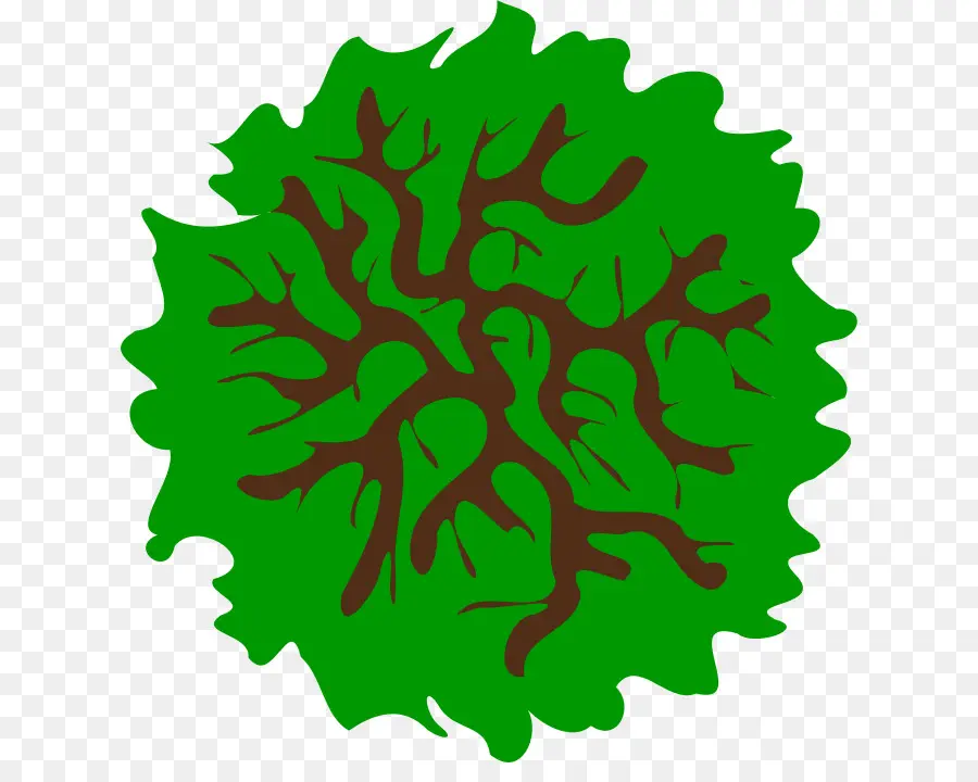 Arbre，Usine PNG