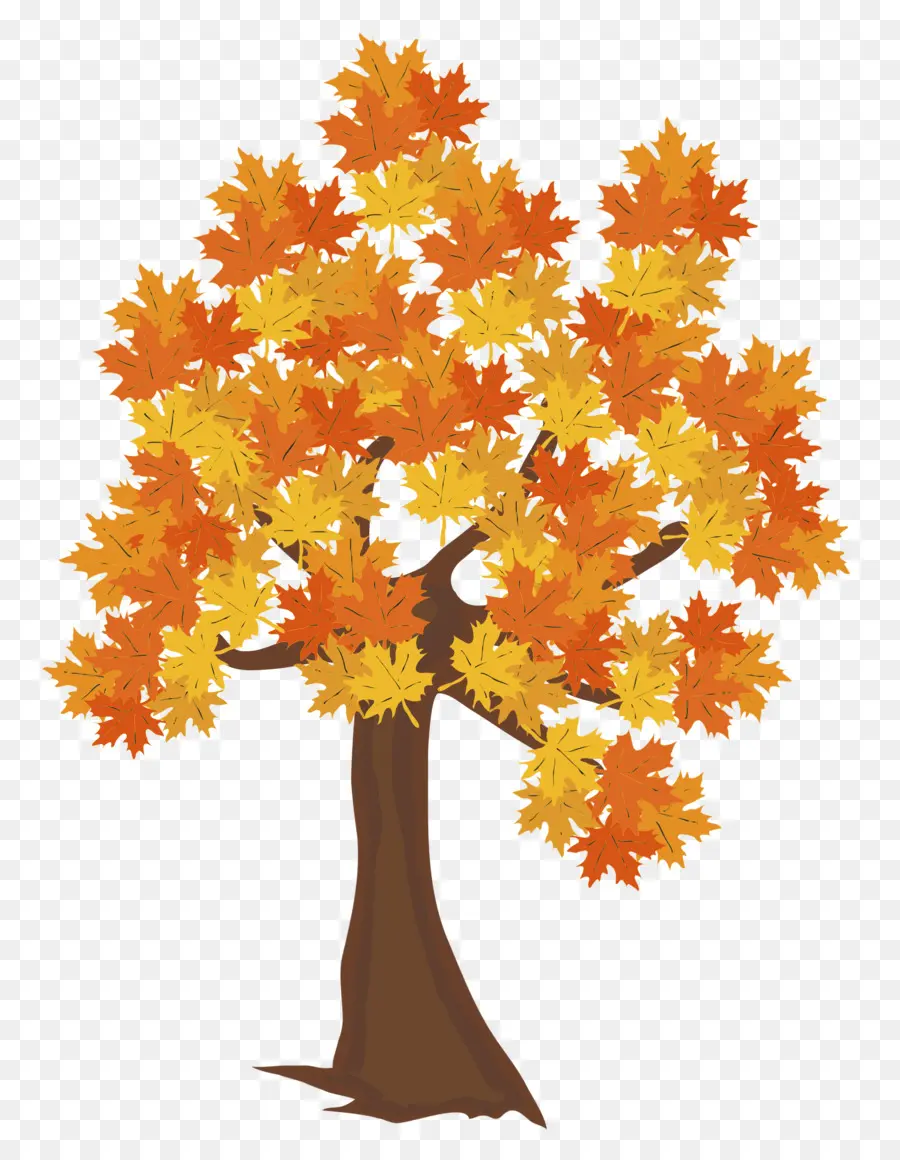 Feuilles D'automne，Arbre PNG