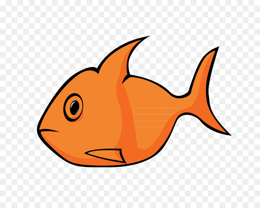 Poisson Orange Et Blanc，Aquatique PNG