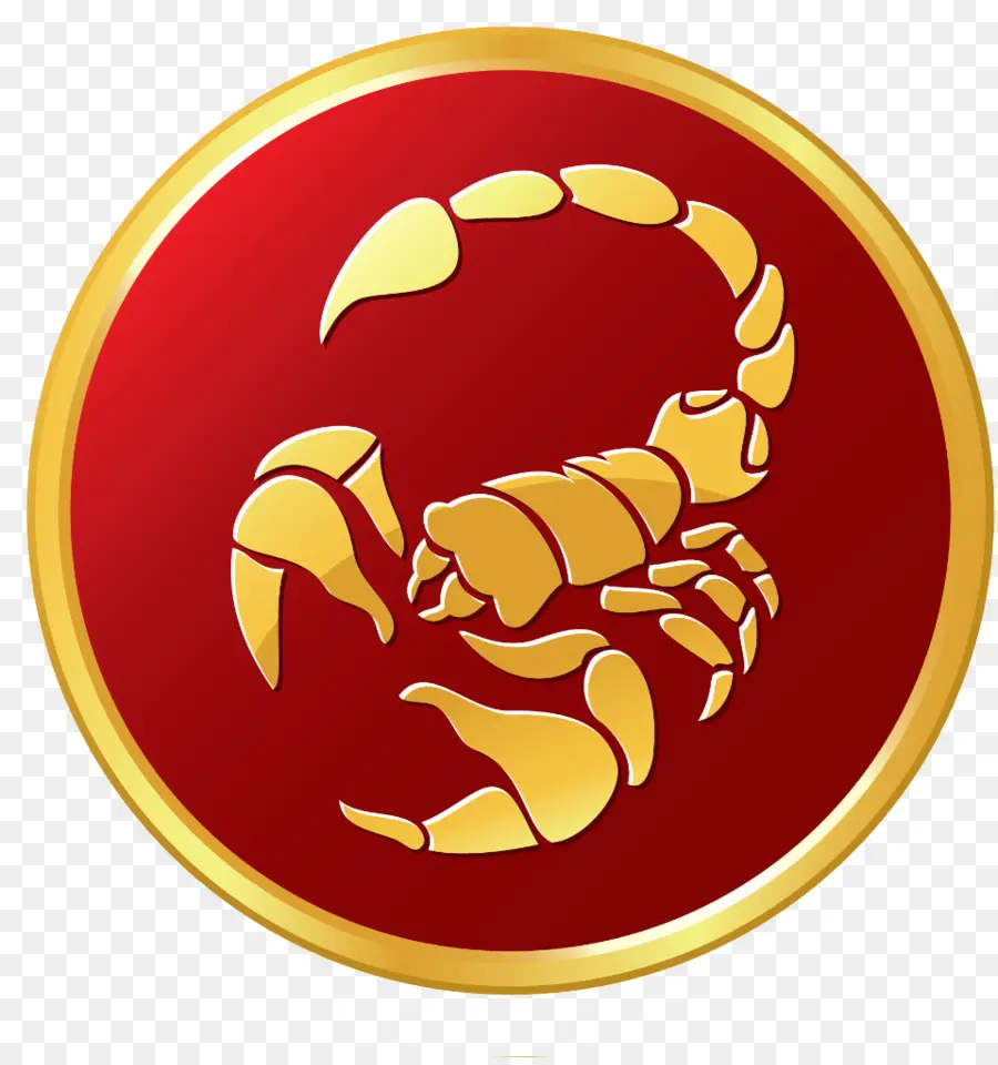 Scorpion，Arachnide PNG