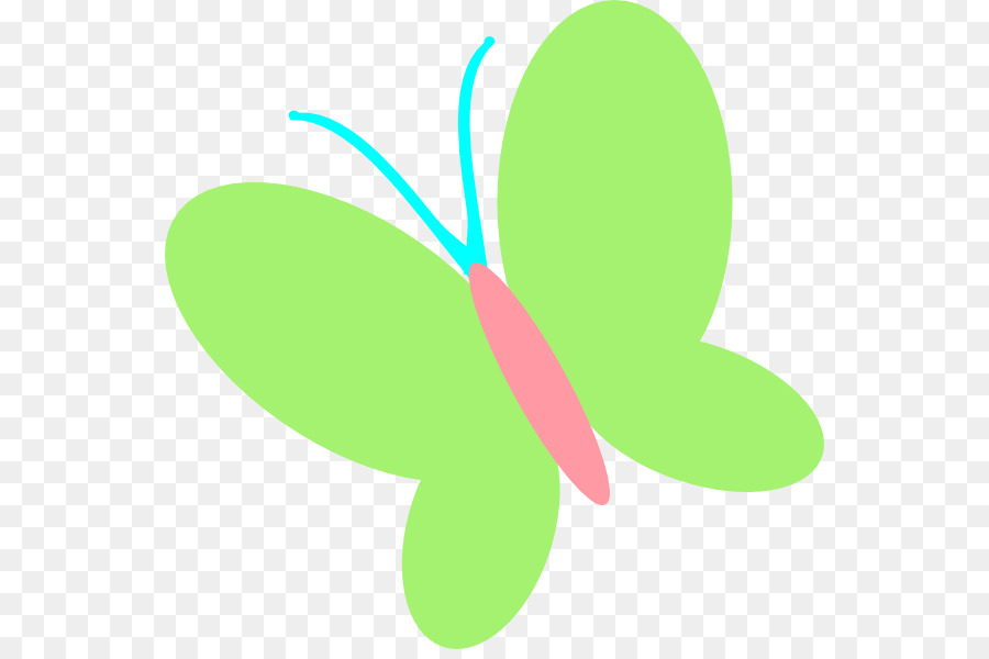 Papillon，Insecte PNG