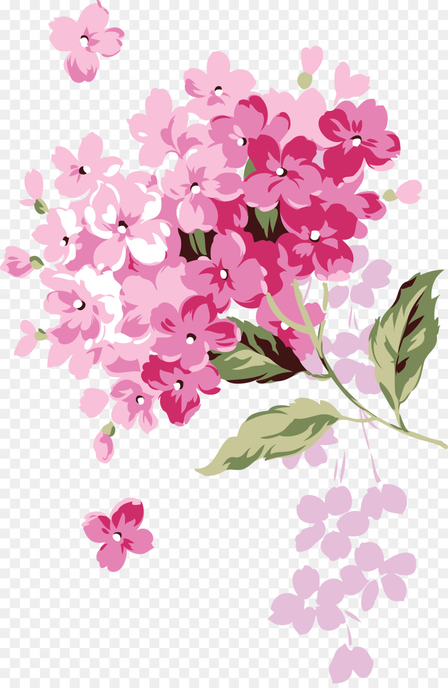 Fleurs Roses，Fleurir PNG