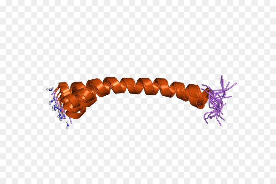 L Hypophyse De L Adénylate Cyclaseactivating Peptide，L Hypophyse De L Adénylate Cyclaseactivating Polypeptide PNG