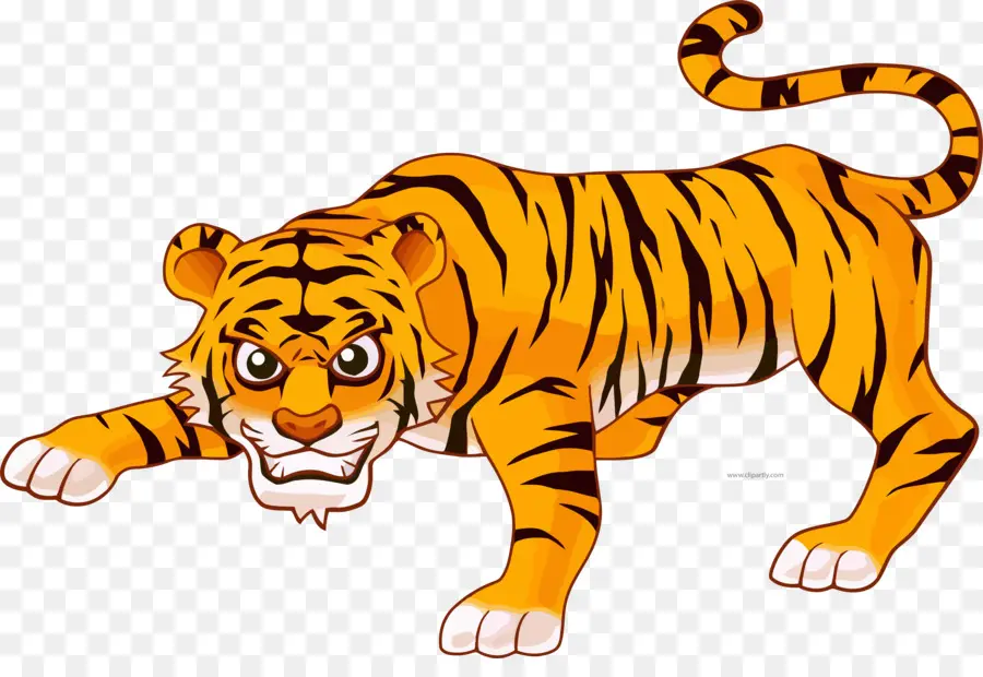 Illustration De Tigre Mignon，Dessin Animé PNG