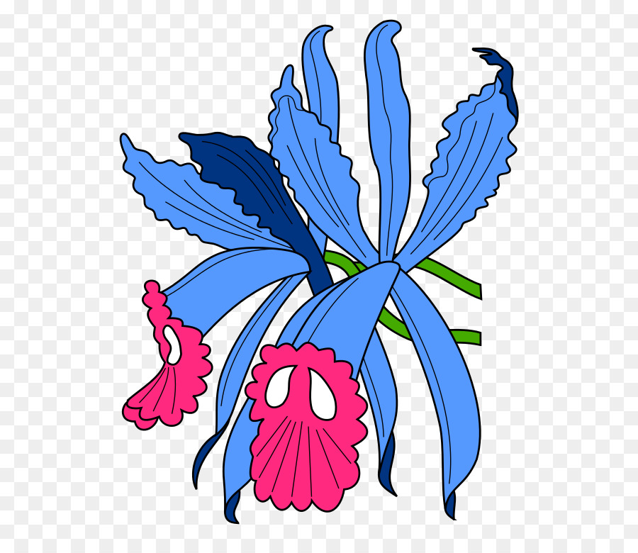 Les Orchidées，Fleur PNG