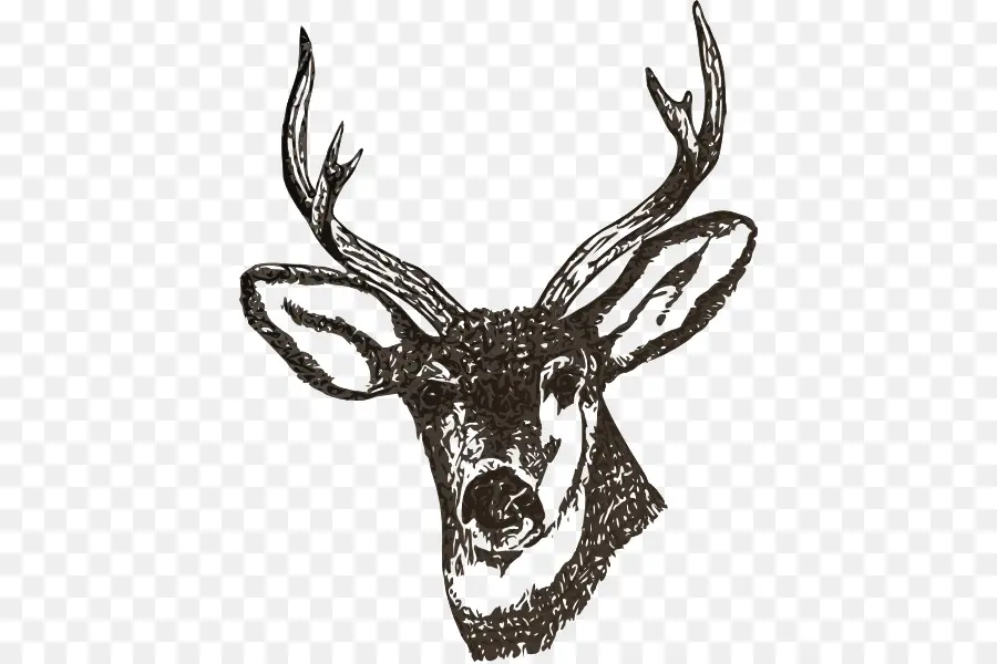 Cerf，Bois PNG