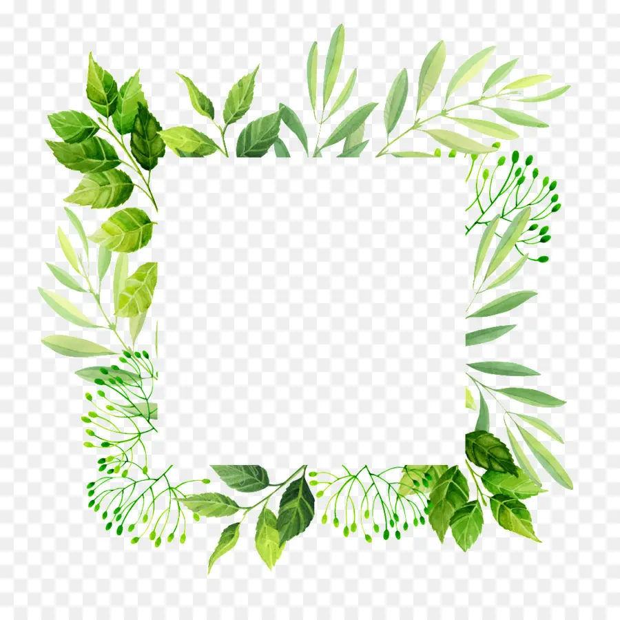 Feuilles Vertes，Feuillage PNG