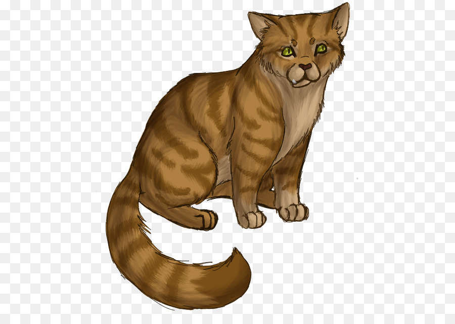 Chat，Animal De Compagnie PNG