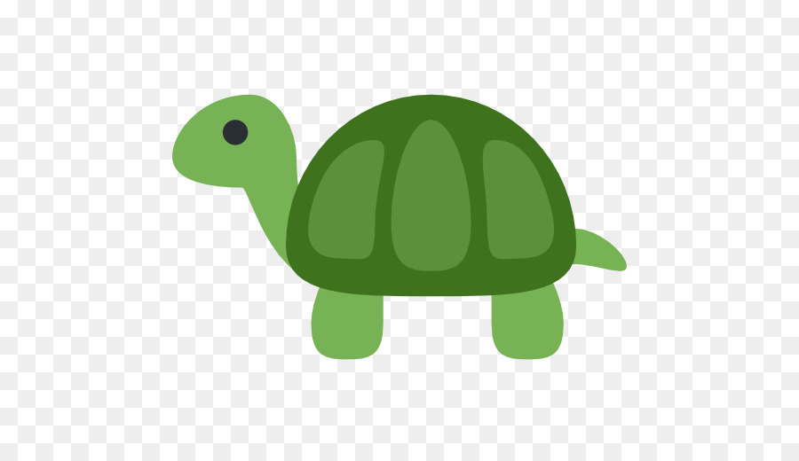 Tortue，Reptile PNG