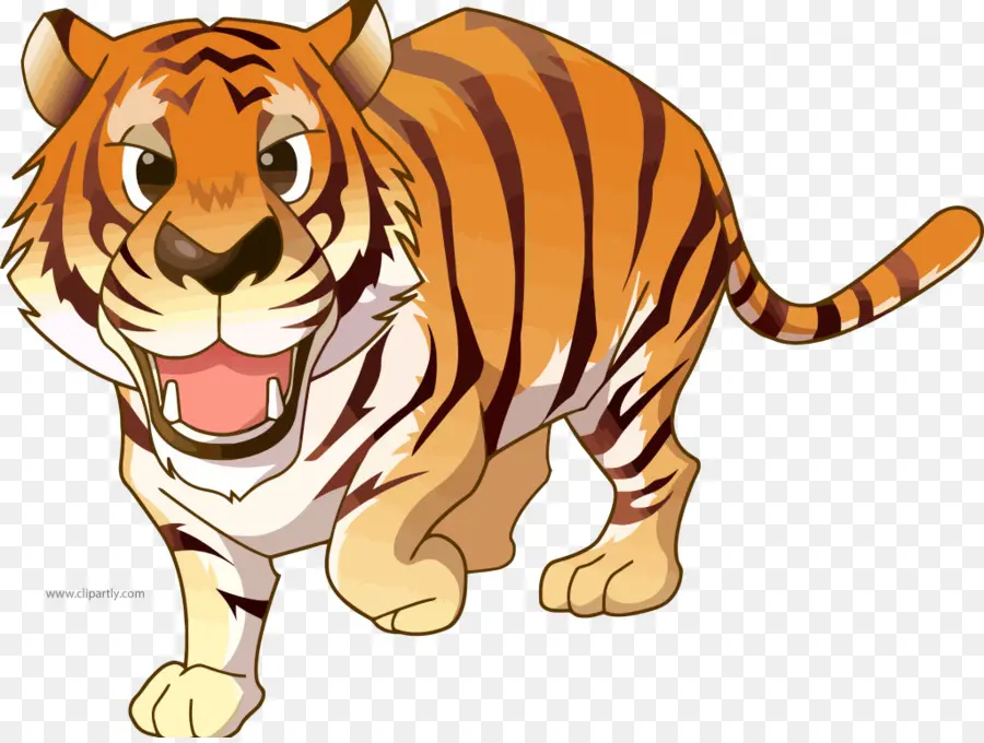 Tigre De Dessin Animé，Tigre PNG