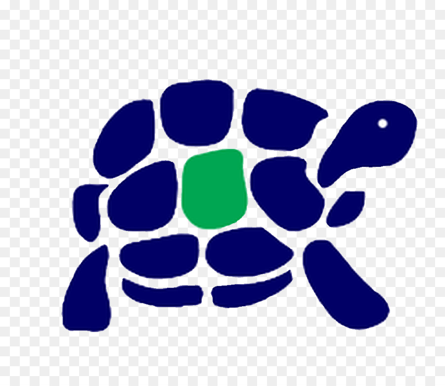 Tortue，Reptile PNG