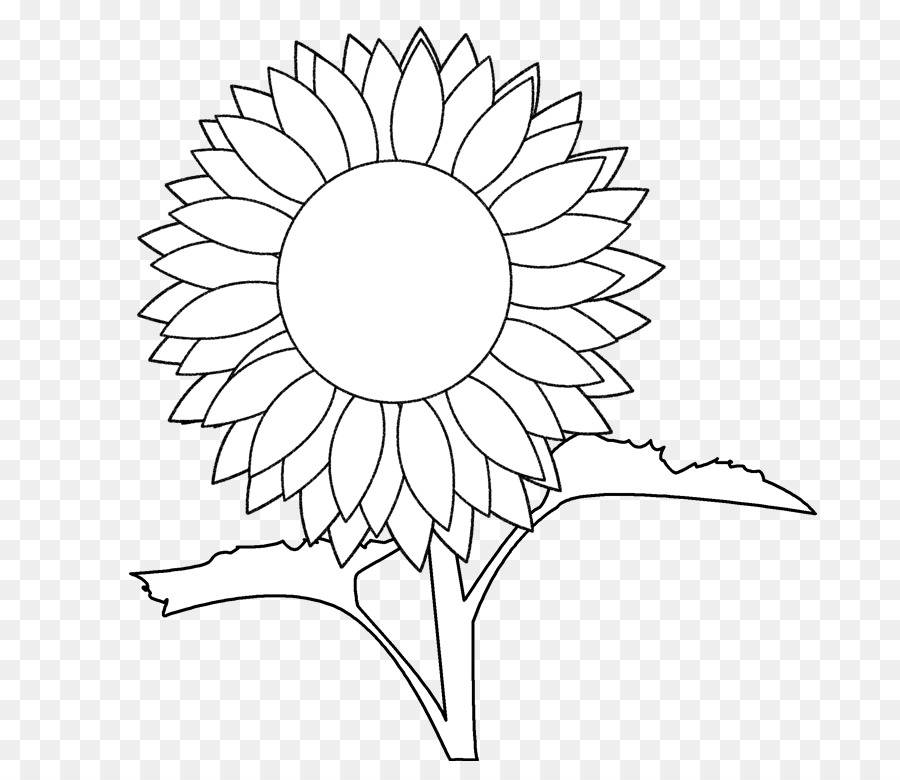 Tournesol，Fleur PNG