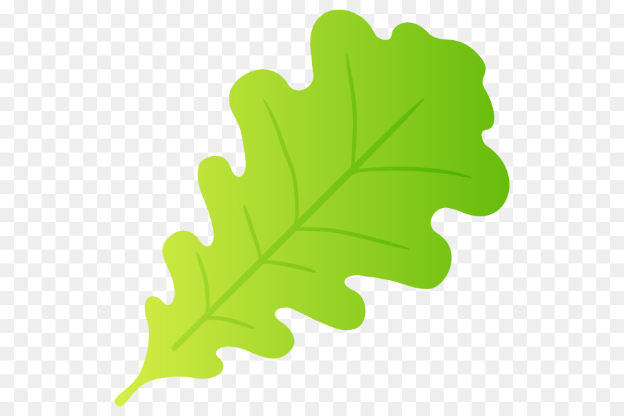 Feuille Verte，Usine PNG