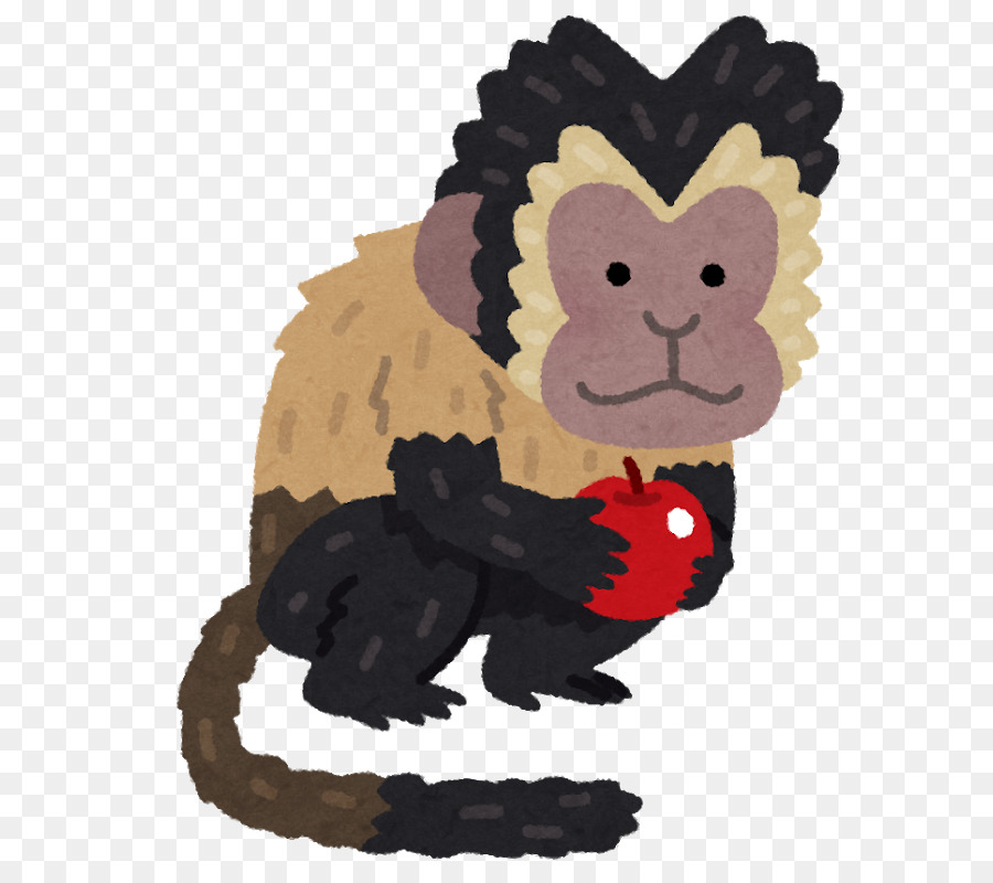 Singe，Capucin Brun PNG