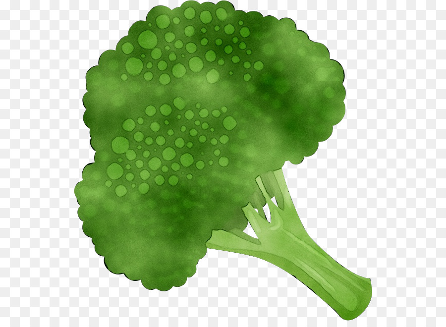 Brocoli，Vert PNG