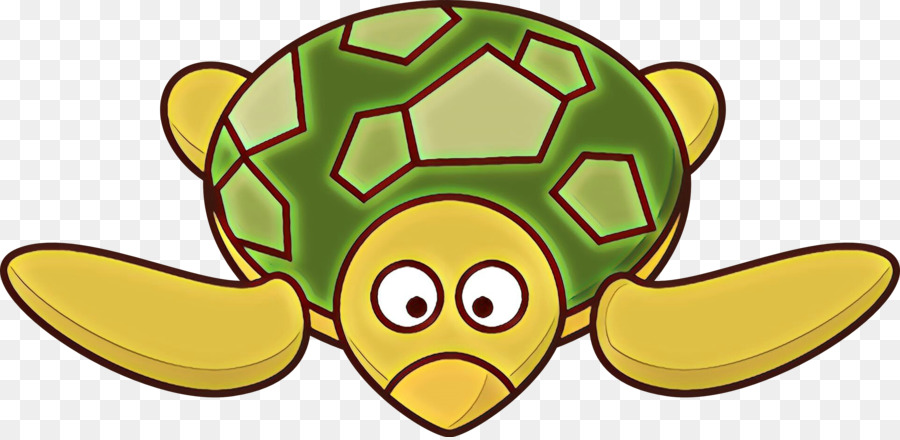 Tortue De Dessin Animé，Coquille PNG