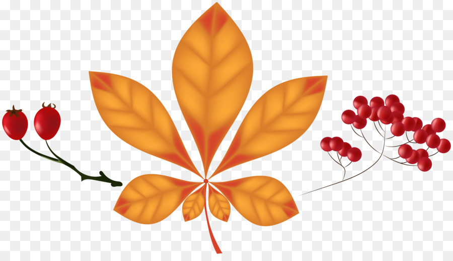 Feuille，Feuille D'automne Orange PNG