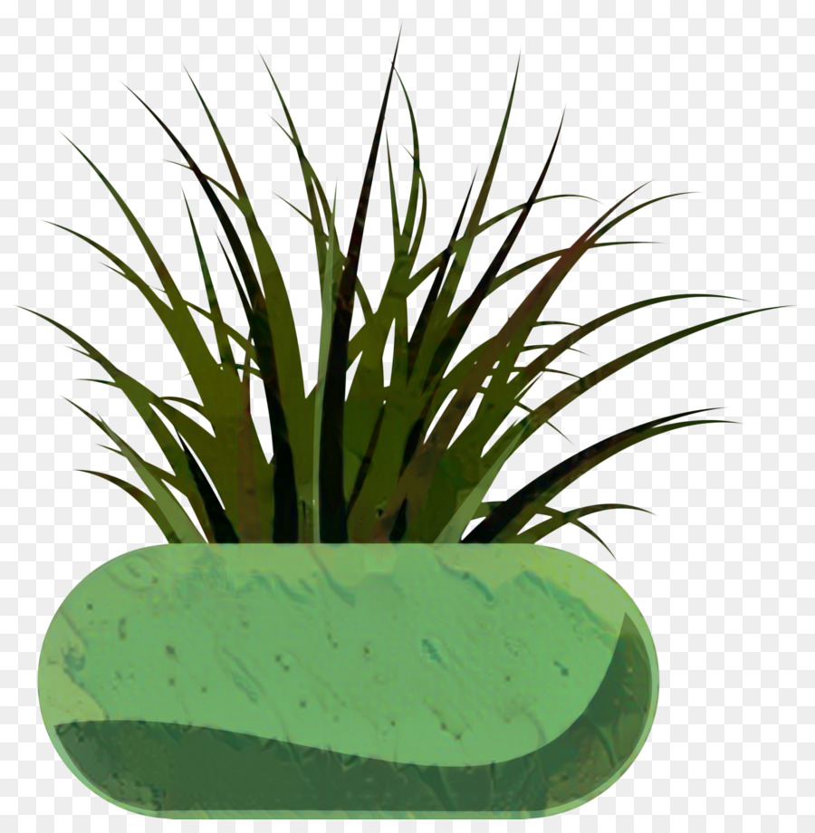 Les Plantes，Tige De La Plante PNG