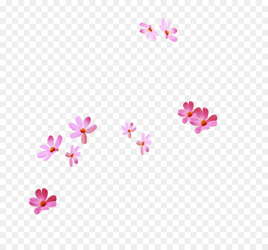 Pétales Roses，Fleur PNG