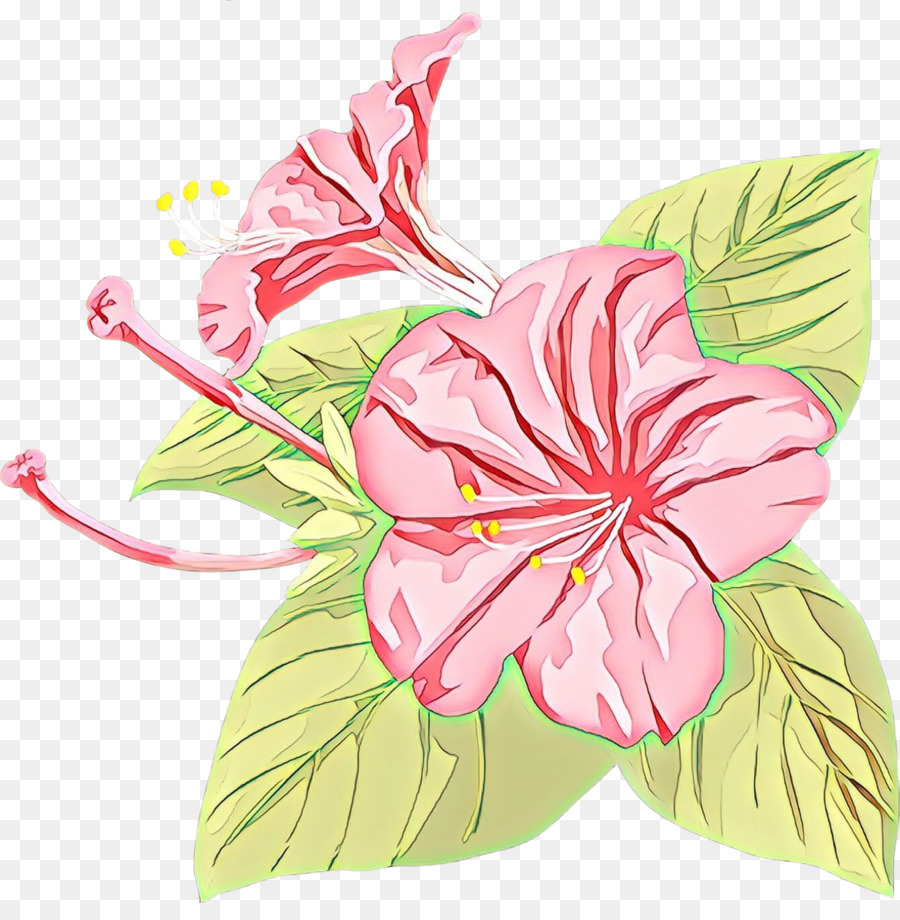 Rosemallows，Fleur PNG