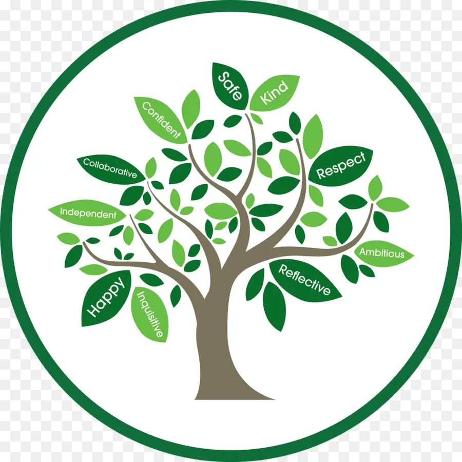 Arbre Vert，Usine PNG