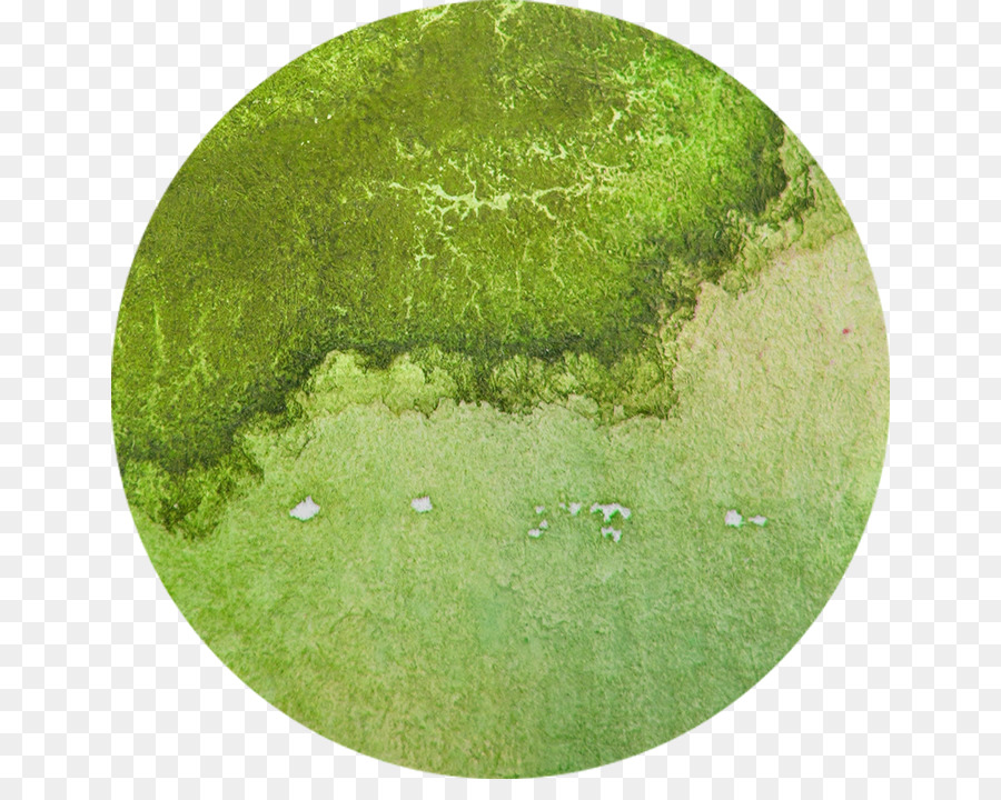 Cercle Vert，Texture PNG